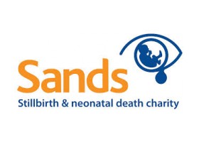 SANDS