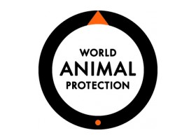 World Animal Protection