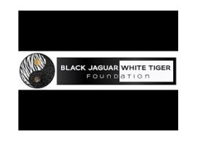 Black Jaguar White Tiger Foundation
