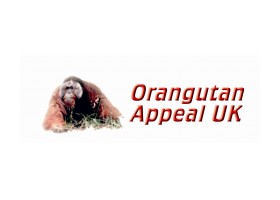 Orangutan Appeal UK