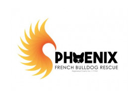 Phoenix French Bulldog Rescue